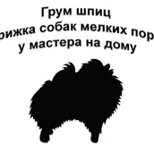 94704b95-dd58-4fa5-ad8e-753f9baa44e0-безимен.jpg